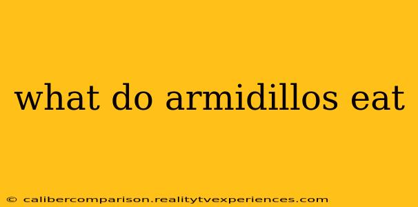 what do armidillos eat