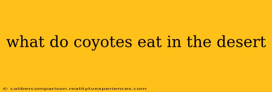 what do coyotes eat in the desert