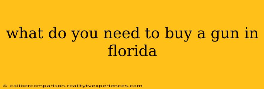 what do you need to buy a gun in florida