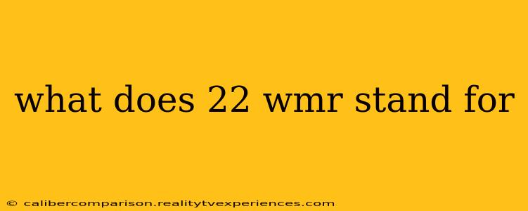 what does 22 wmr stand for