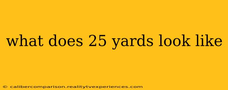 what does 25 yards look like