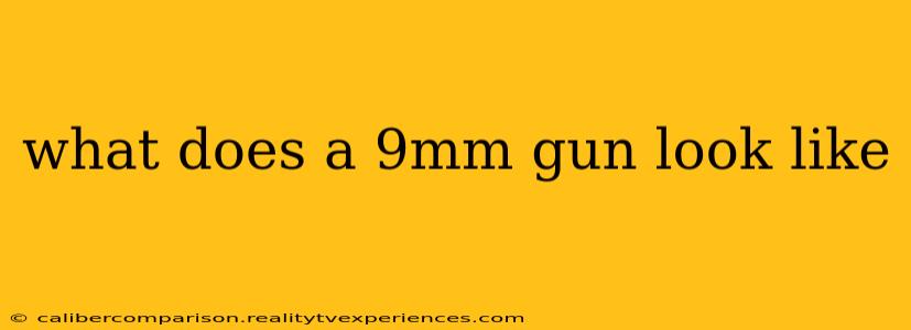 what does a 9mm gun look like