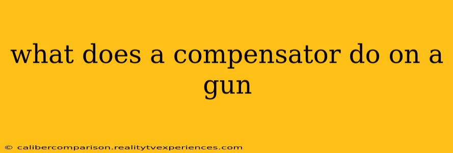 what does a compensator do on a gun