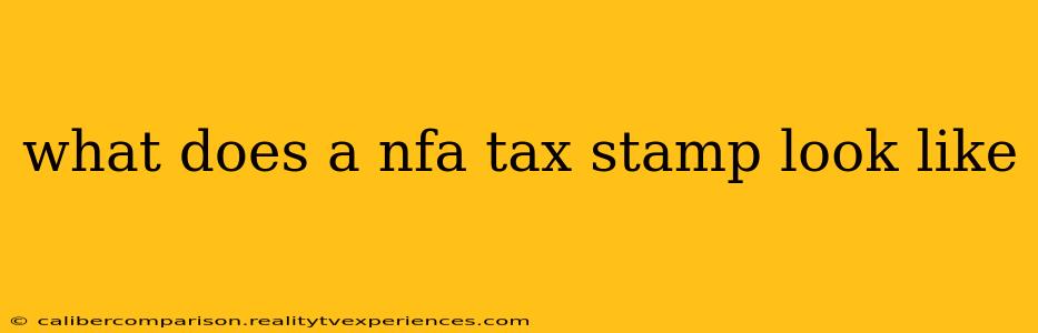 what does a nfa tax stamp look like