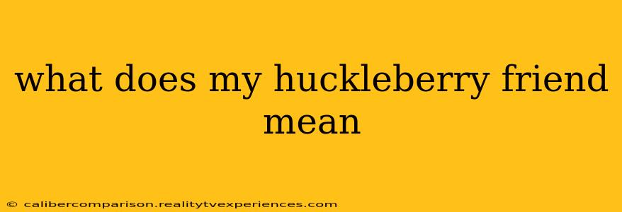 what does my huckleberry friend mean