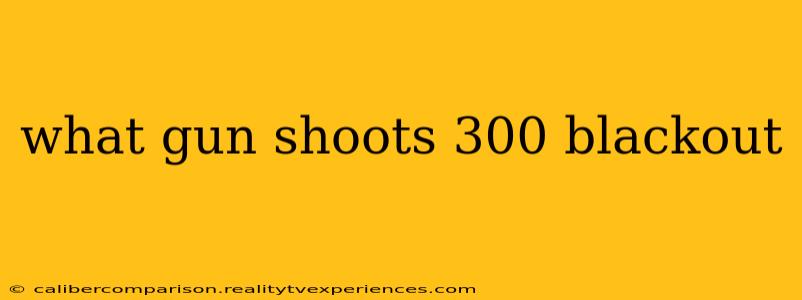 what gun shoots 300 blackout