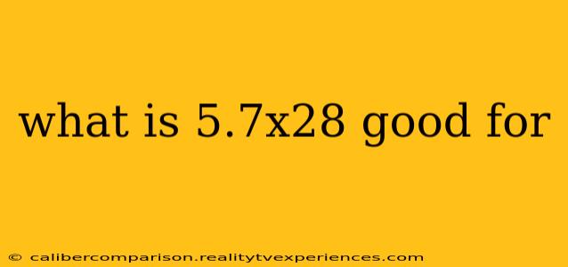 what is 5.7x28 good for