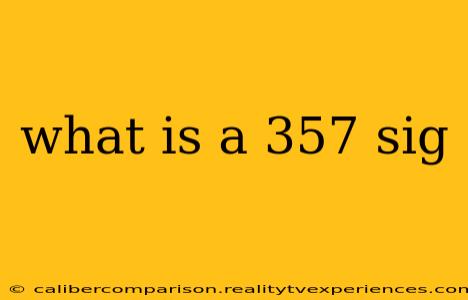 what is a 357 sig