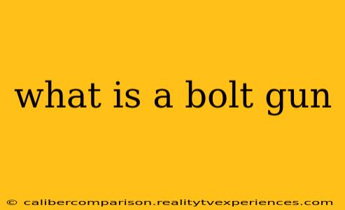 what is a bolt gun