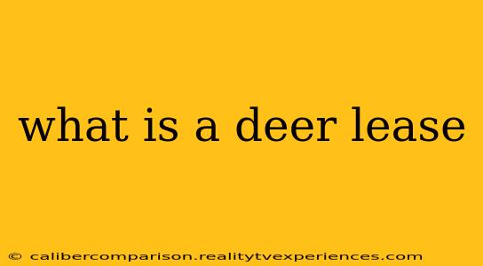 what is a deer lease