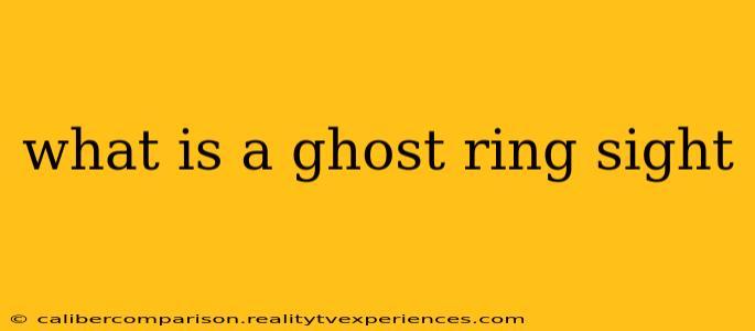 what is a ghost ring sight