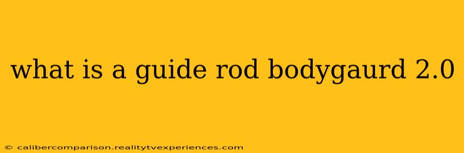 what is a guide rod bodygaurd 2.0