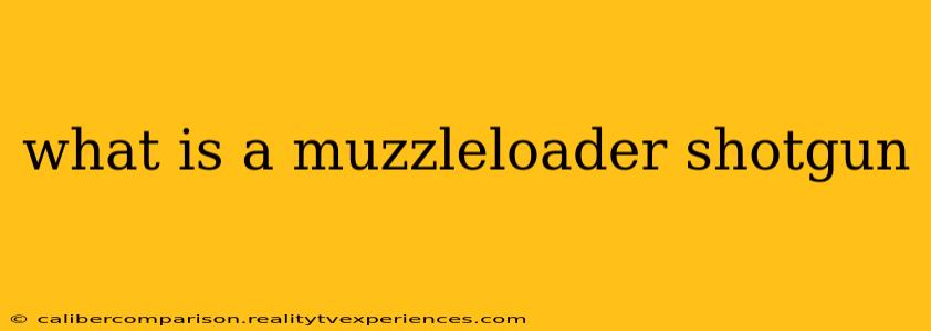 what is a muzzleloader shotgun