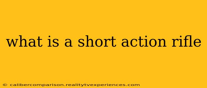 what is a short action rifle