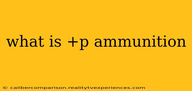 what is +p ammunition