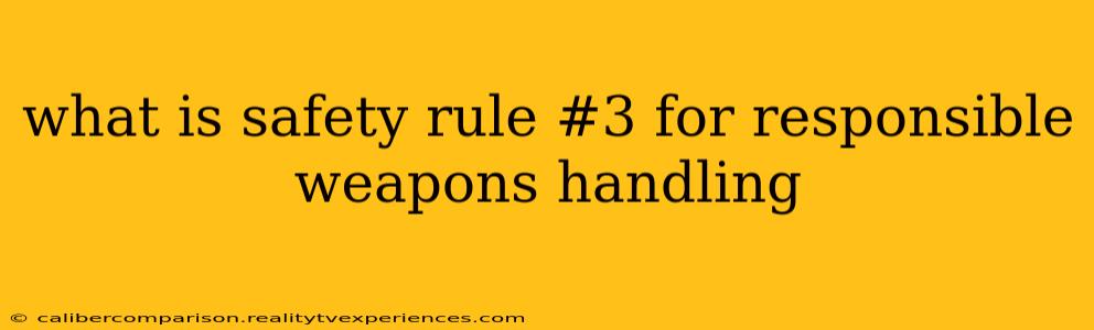 what is safety rule #3 for responsible weapons handling