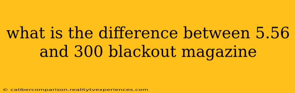 what is the difference between 5.56 and 300 blackout magazine