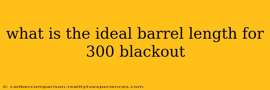 what is the ideal barrel length for 300 blackout