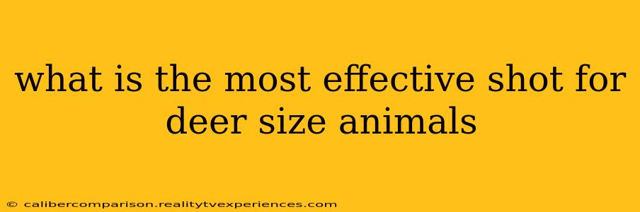 what is the most effective shot for deer size animals