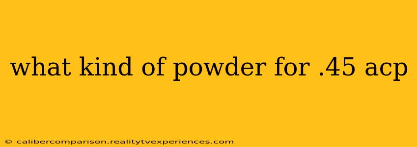 what kind of powder for .45 acp