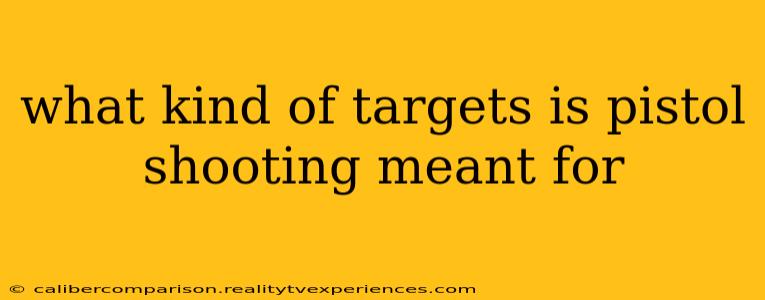 what kind of targets is pistol shooting meant for