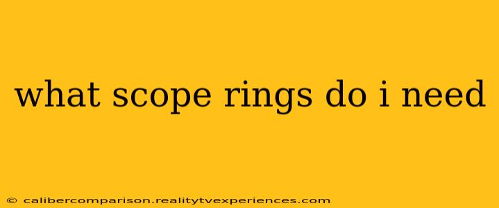 what scope rings do i need