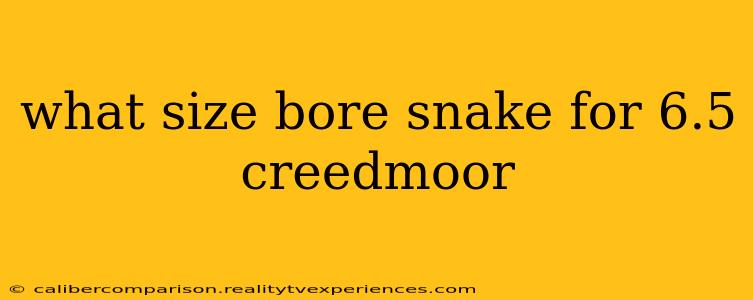 what size bore snake for 6.5 creedmoor