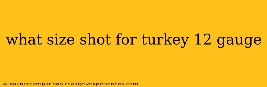 what size shot for turkey 12 gauge