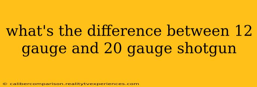 what's the difference between 12 gauge and 20 gauge shotgun