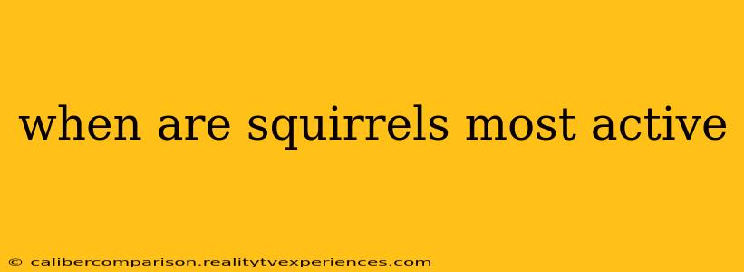 when are squirrels most active