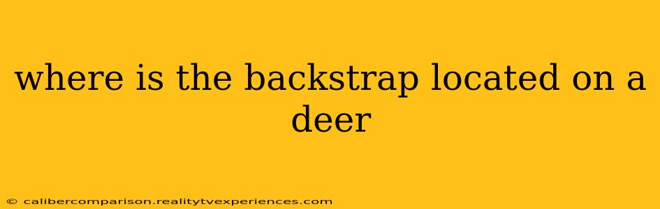 where is the backstrap located on a deer