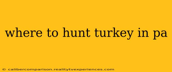 where to hunt turkey in pa