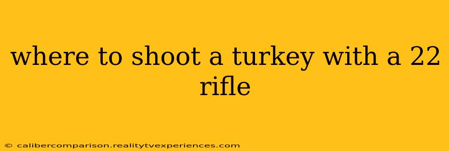 where to shoot a turkey with a 22 rifle