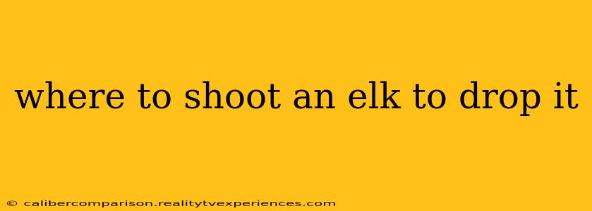 where to shoot an elk to drop it