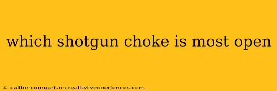 which shotgun choke is most open