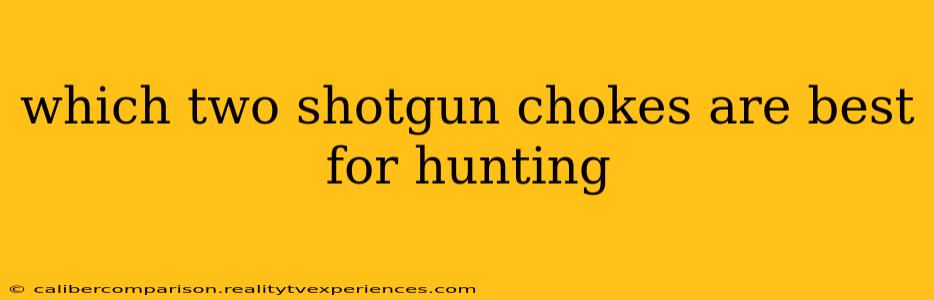 which two shotgun chokes are best for hunting