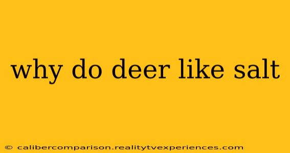 why do deer like salt