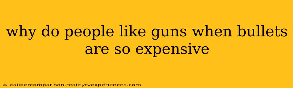 why do people like guns when bullets are so expensive