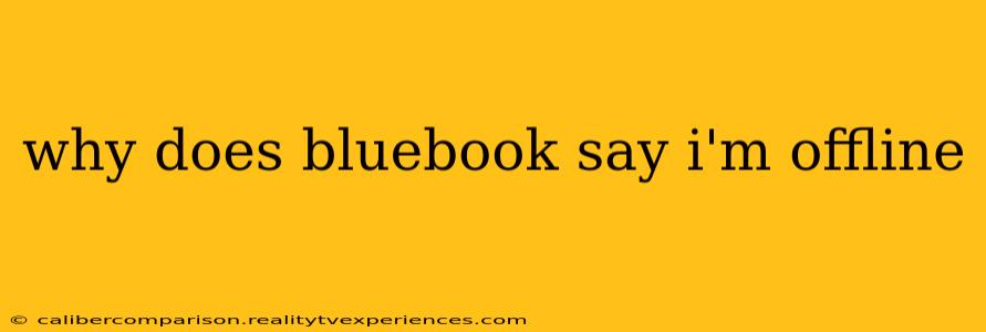 why does bluebook say i'm offline