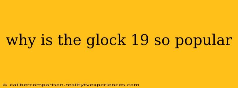 why is the glock 19 so popular