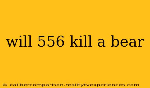 will 556 kill a bear