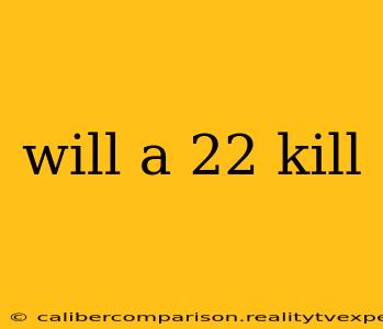 will a 22 kill