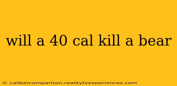 will a 40 cal kill a bear