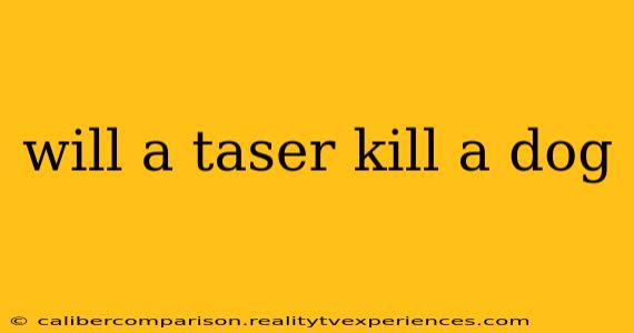 will a taser kill a dog