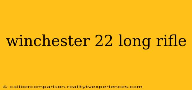 winchester 22 long rifle