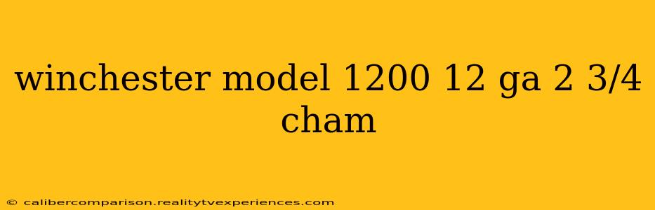 winchester model 1200 12 ga 2 3/4 cham