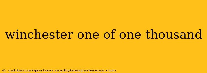 winchester one of one thousand