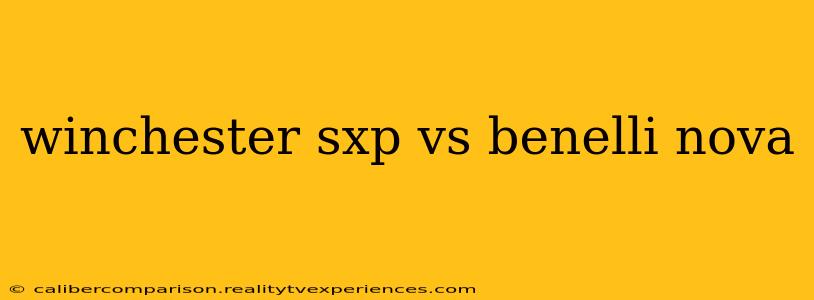 winchester sxp vs benelli nova