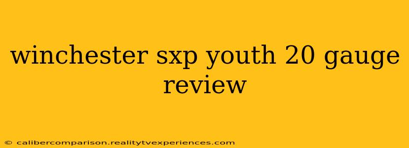 winchester sxp youth 20 gauge review