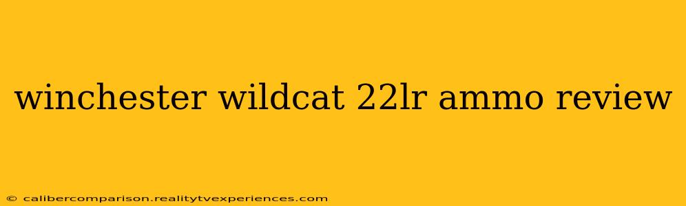 winchester wildcat 22lr ammo review